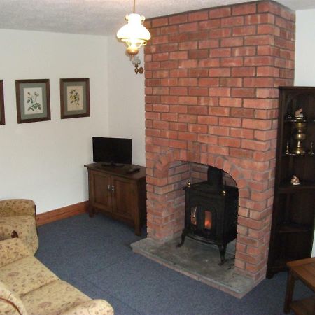 Bryn Cottage Llandderfel Bagian luar foto